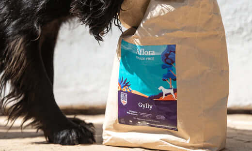 Gylly grain free dry dog food bag with blueberry design