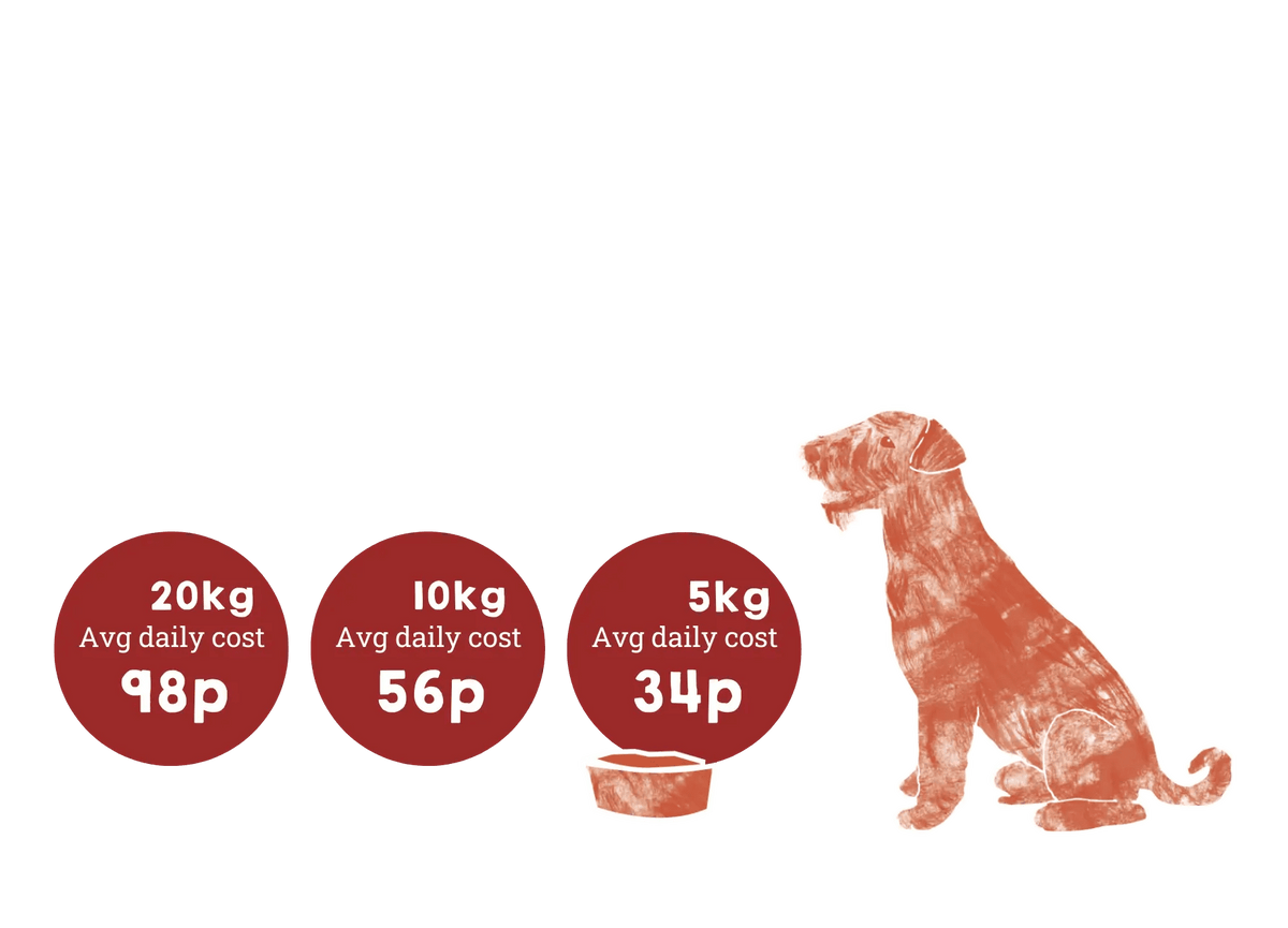 Aflora Grain Free 20kg Dog Food Bag with Brown Dog Graphic