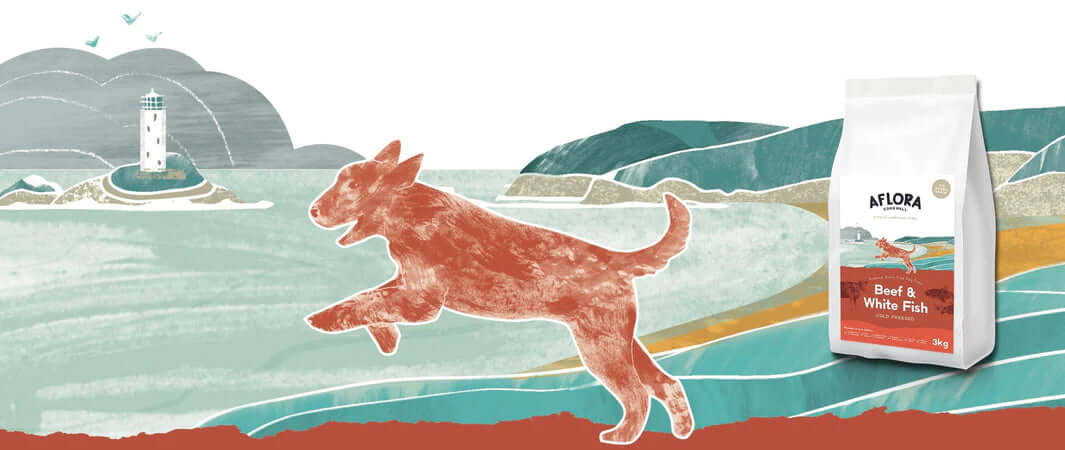 Nolona Red and White Dry Dog Food Bag for Canny Canines