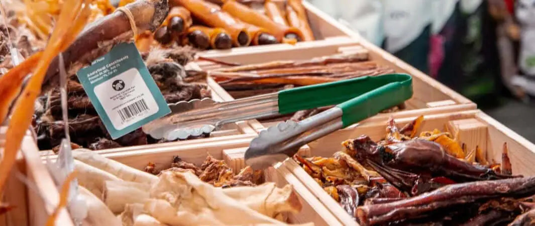 Natural pet product: green pliers with black handles and silver blades