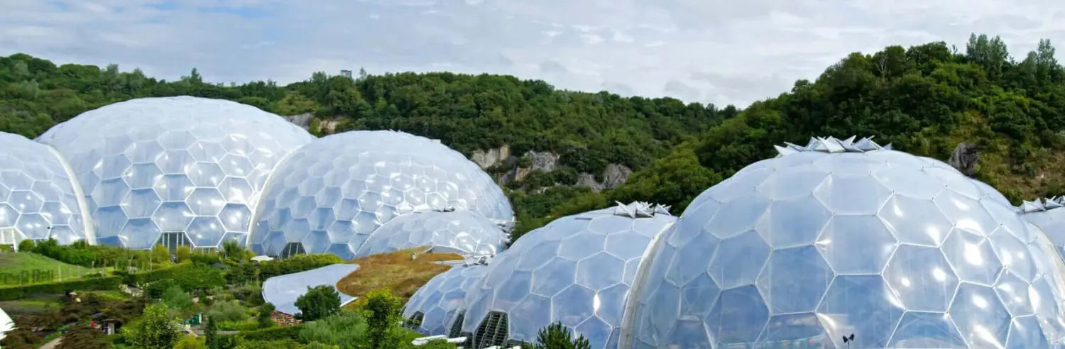 White Eden Project dome with hexagonal transparent panels and outdoor gardens for furry friends