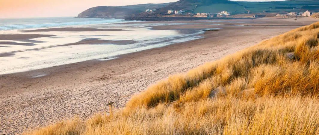 Beach grass hillside in golden hues at Ashton Court, South West dog walk.