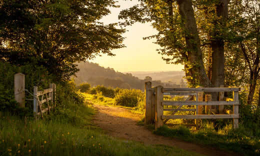 Rustic white-painted wooden gate at Reculver Country Park in South East UK
