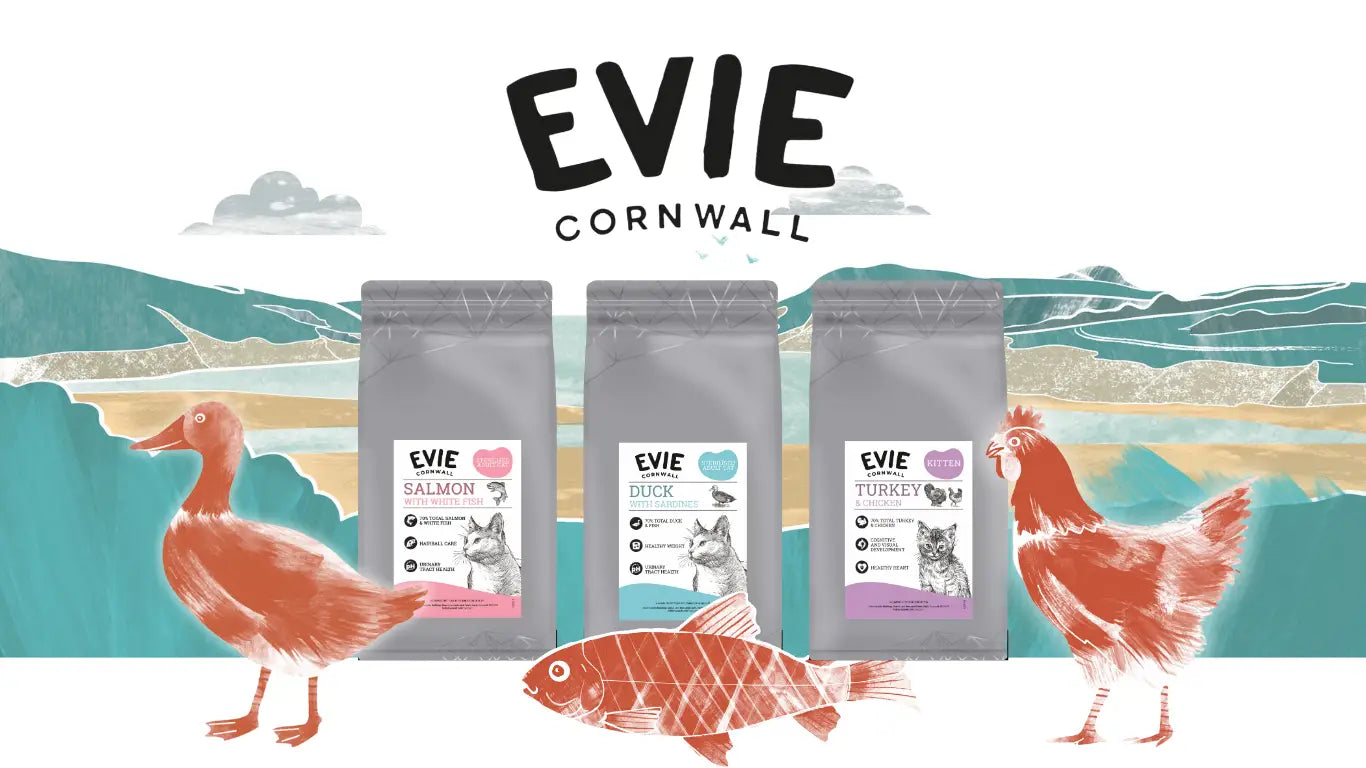 Evie cat food bags: high-meat, grain-free cat food made in the UK