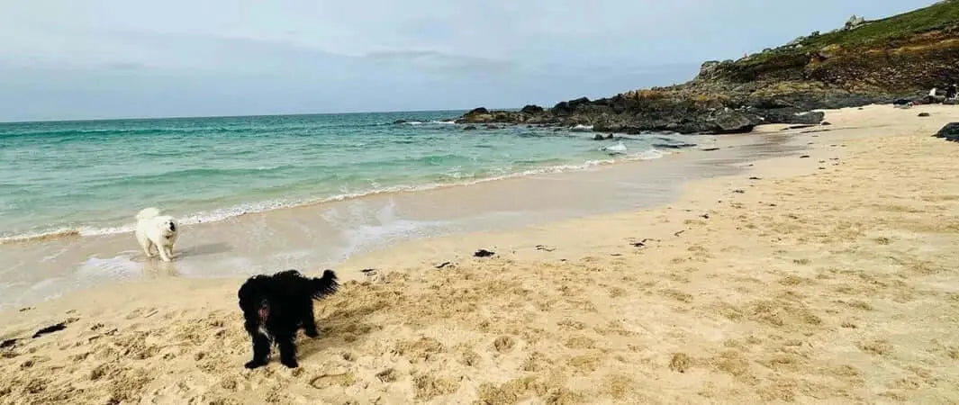 Beach footprints in sand at Sail Lofts, St. Ives, with ocean waves