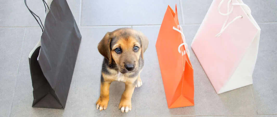 Black shopping bag with white handles in super sale section for pets