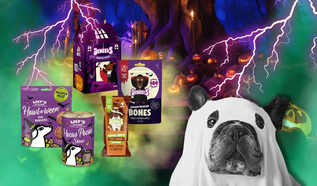 Ghostly bulldog plush toy in soopa pumpkin spiced Halloween costume
