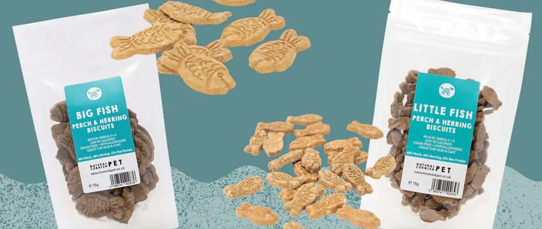 Big fish herring dog biscuits: brown fish-shaped natural Cornish pet treats