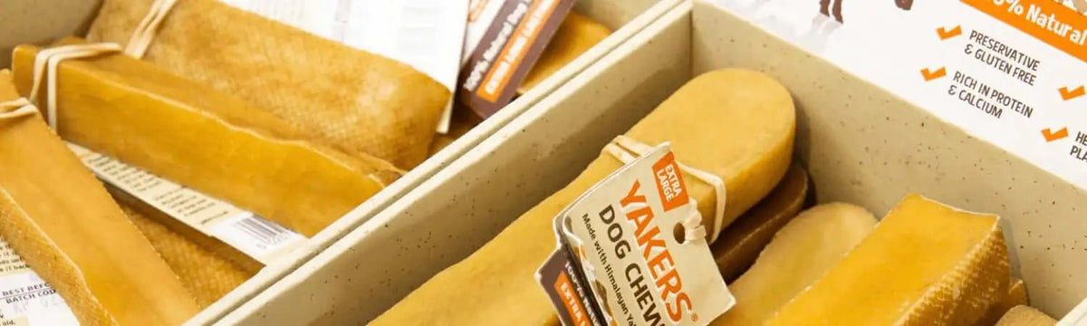 Golden Himalayan yak chews from Pets Larder in Yakers Dog article