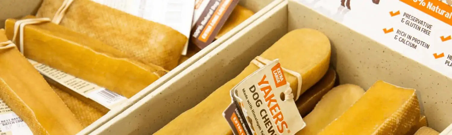 Golden Himalayan yak chews from Pets Larder in Yakers Dog article