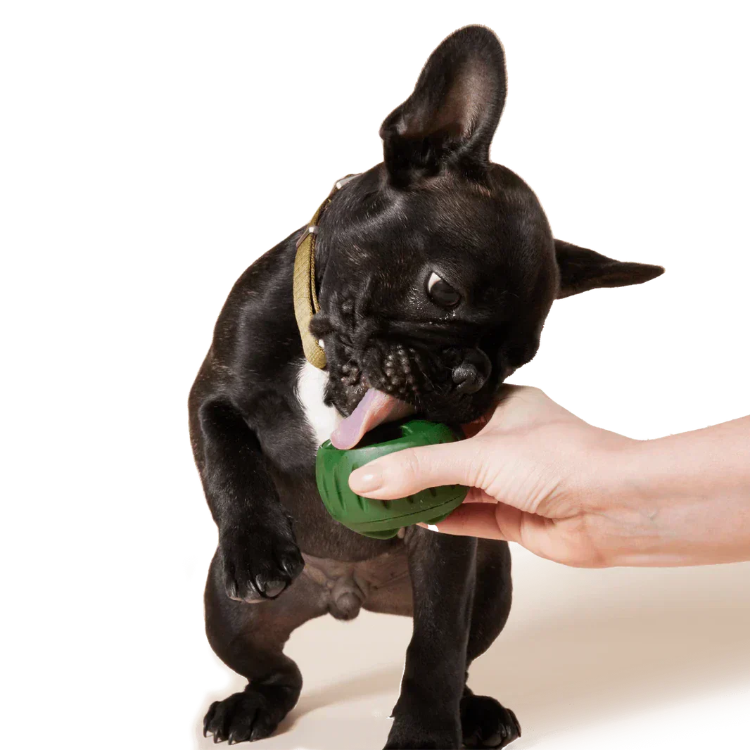 Sustainable green rubber dog toy for pet care, textured for grip.