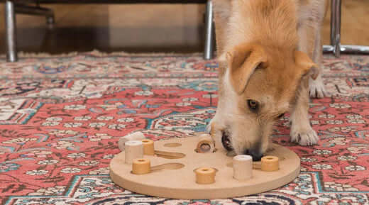 Wooden dog food games toy with puzzle holes and pieces