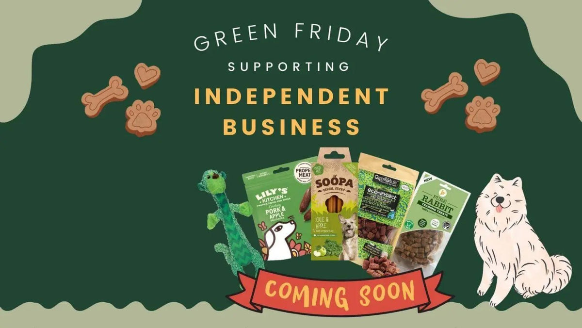 Green Friday dog treat bag with treats and fluffy dog illustration