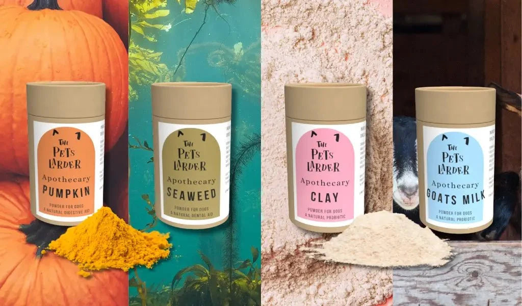 Pumpkin spice powder jar for dogs with fox label, from The Pets Larder supplements