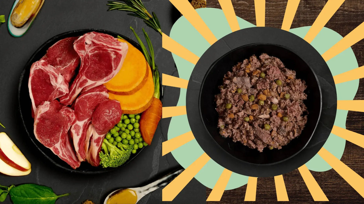 Black bowl of natural wet dog food with beef and peas on wood