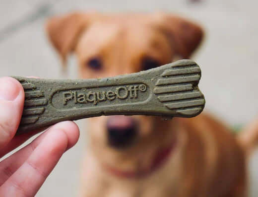 Pro Den PlaqueOff green bone-shaped dental bites for dogs