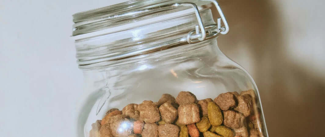 Clear glass jar of brown kibble dog food sealed with metal clasp