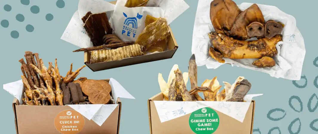 Chocolate-covered air dried dog treats in Pets Larder deli bundle bag