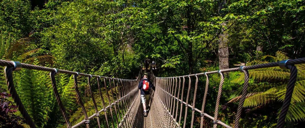 Rope bridge suspension in Heligans lost gardens five favourite things