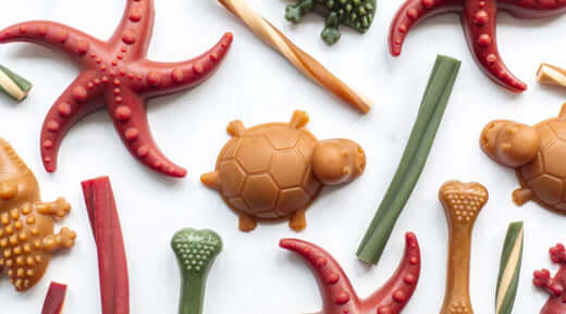 Pets Larder vegetarian dog sea turtle pasta chew toy in brown and green