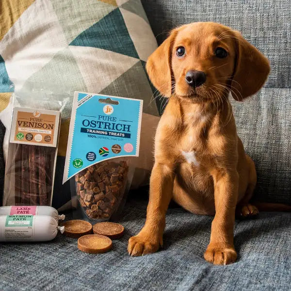 100% pure ostrich training treats dog snack bag.