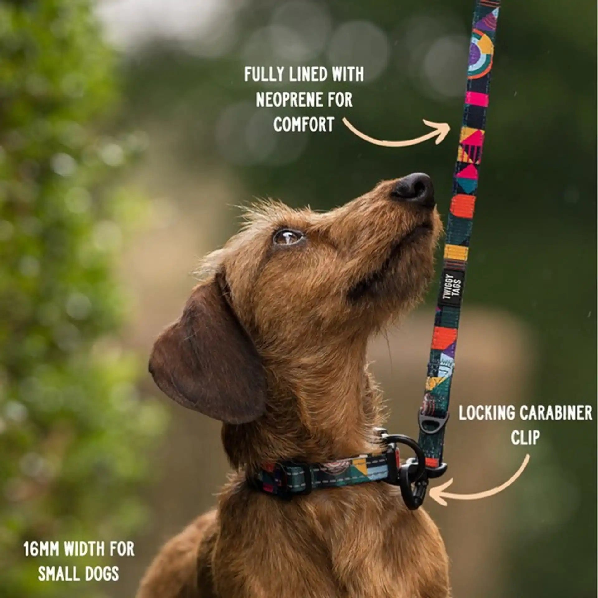 Twiggy Tags Adventure Dog Lead - Aurora - Dog Accessories