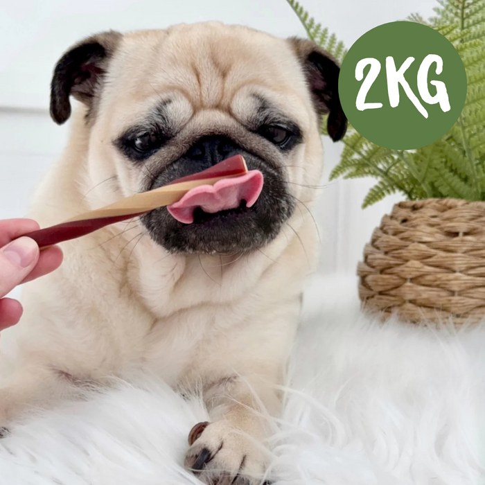 Apple Dental Stick - 2kg Bag - Natural Dog Chew