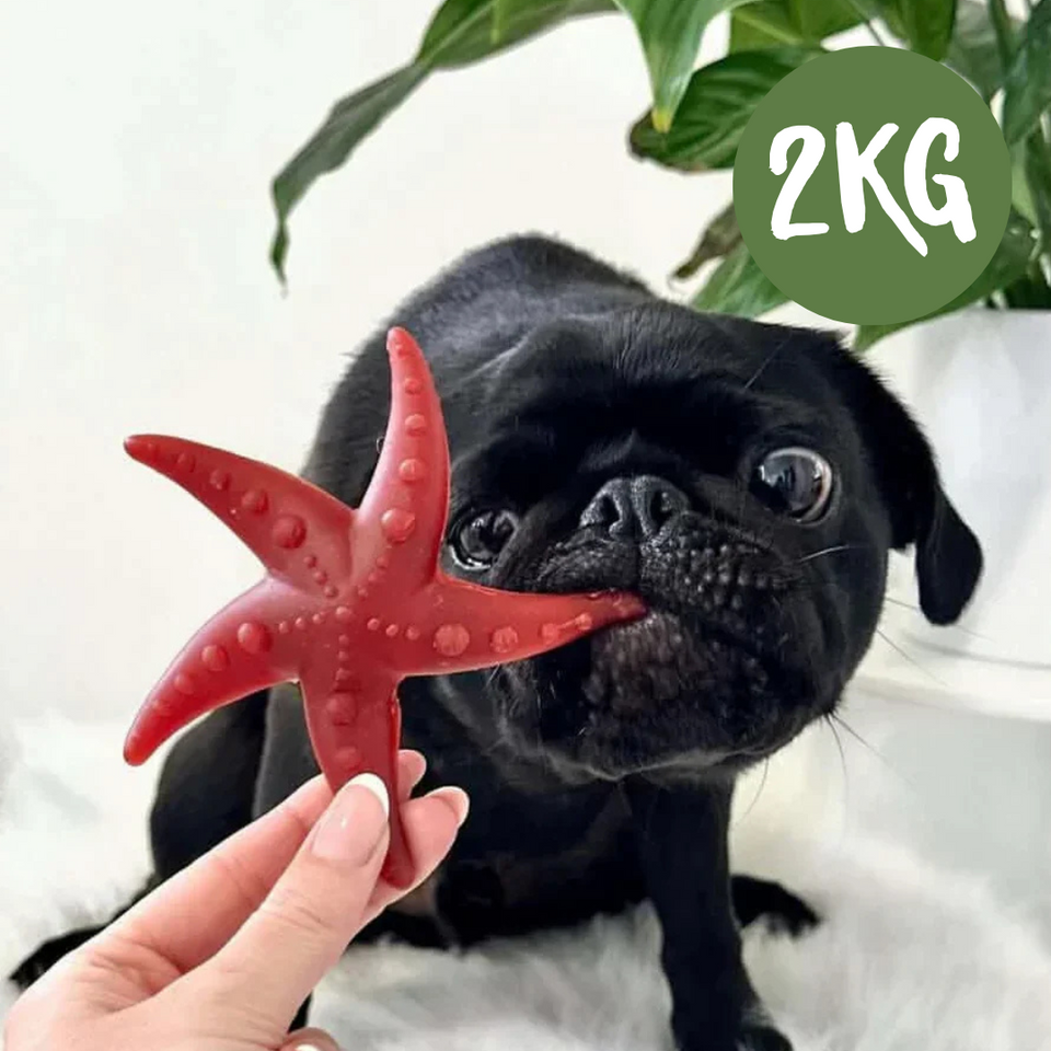 Apple & Mint Starfish - 2kg Bag