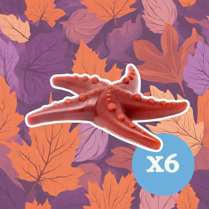 Apple & Mint Starfish x 6 - Natural Dog Chew