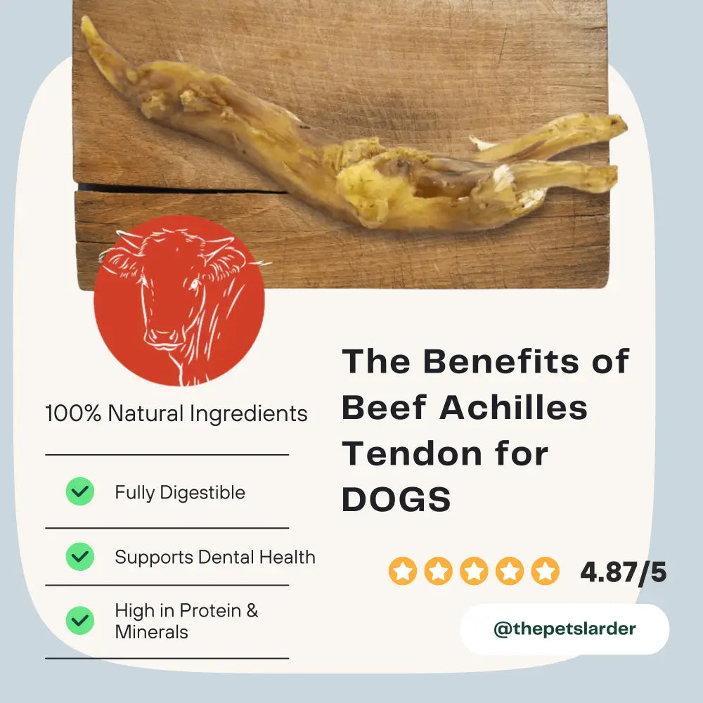 100% Natural Beef Achilles Tendon Dog Chew, Fully Digestible