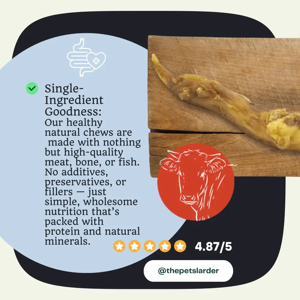 Beef Achilles Tendon Natural Dog Chew with Yellowish-Brown Texture