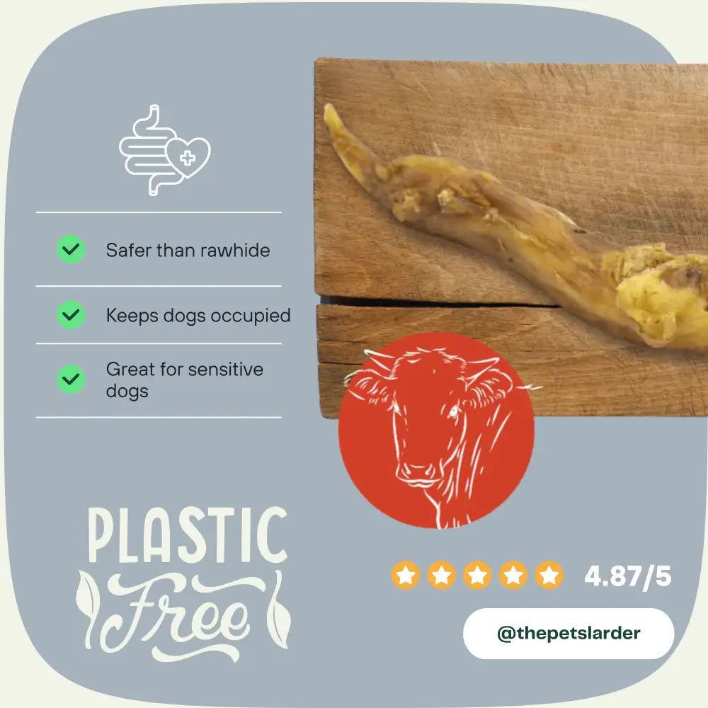 Yellow natural dog chew toy mimicking beef Achilles tendon with brown spots