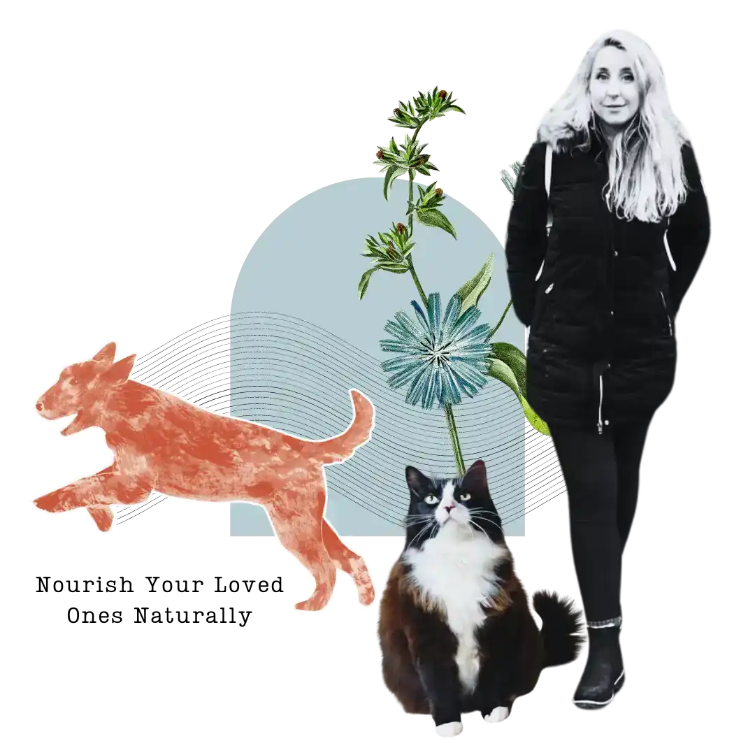 Black and white cat sticker with floral design on tail