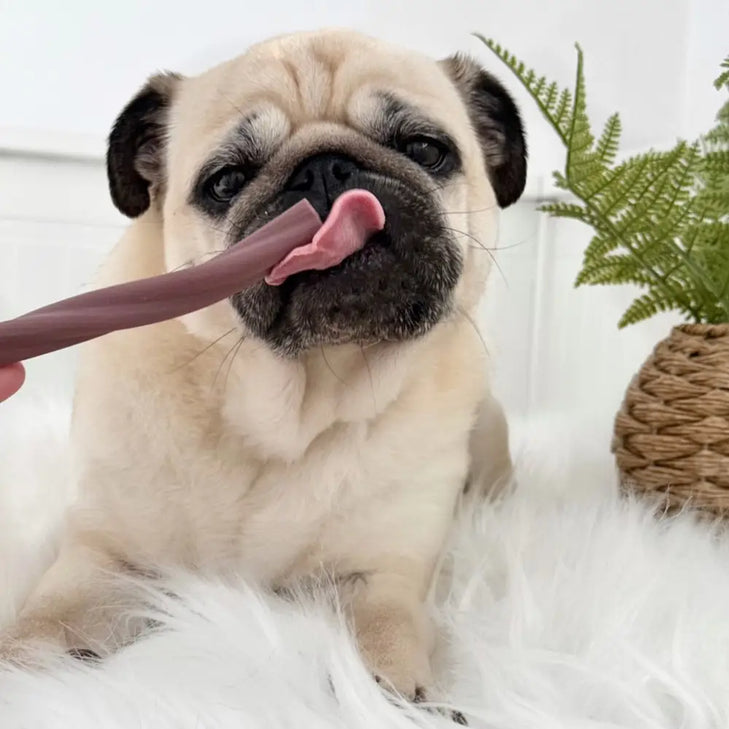 Blueberry Clover Chew For Dogs