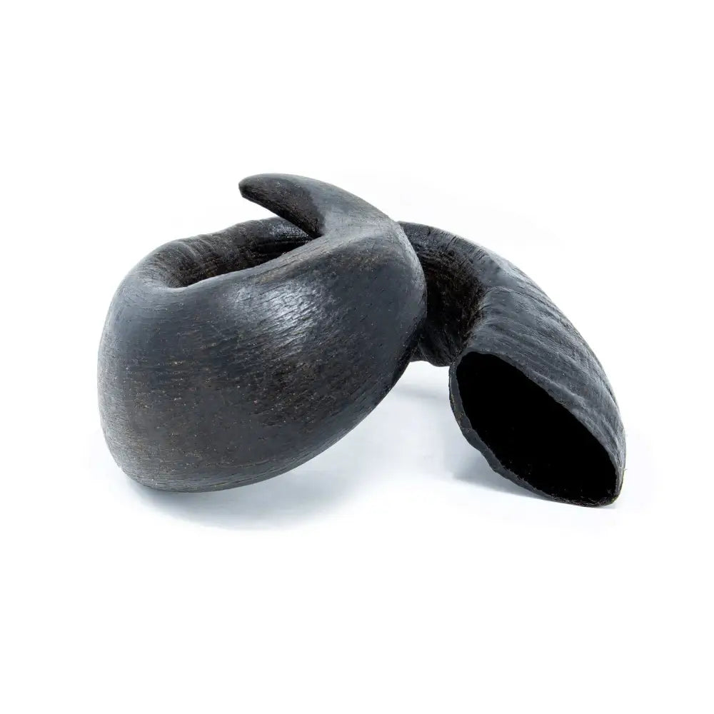 Buffalo Horn black horn-shaped pipe accessory for natural dog chews