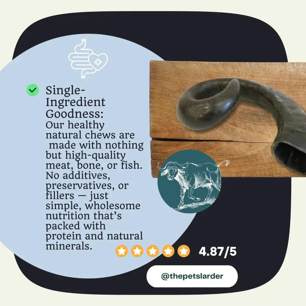 Buffalo Horn black bone-shaped natural dog chew toy on wood with ratings