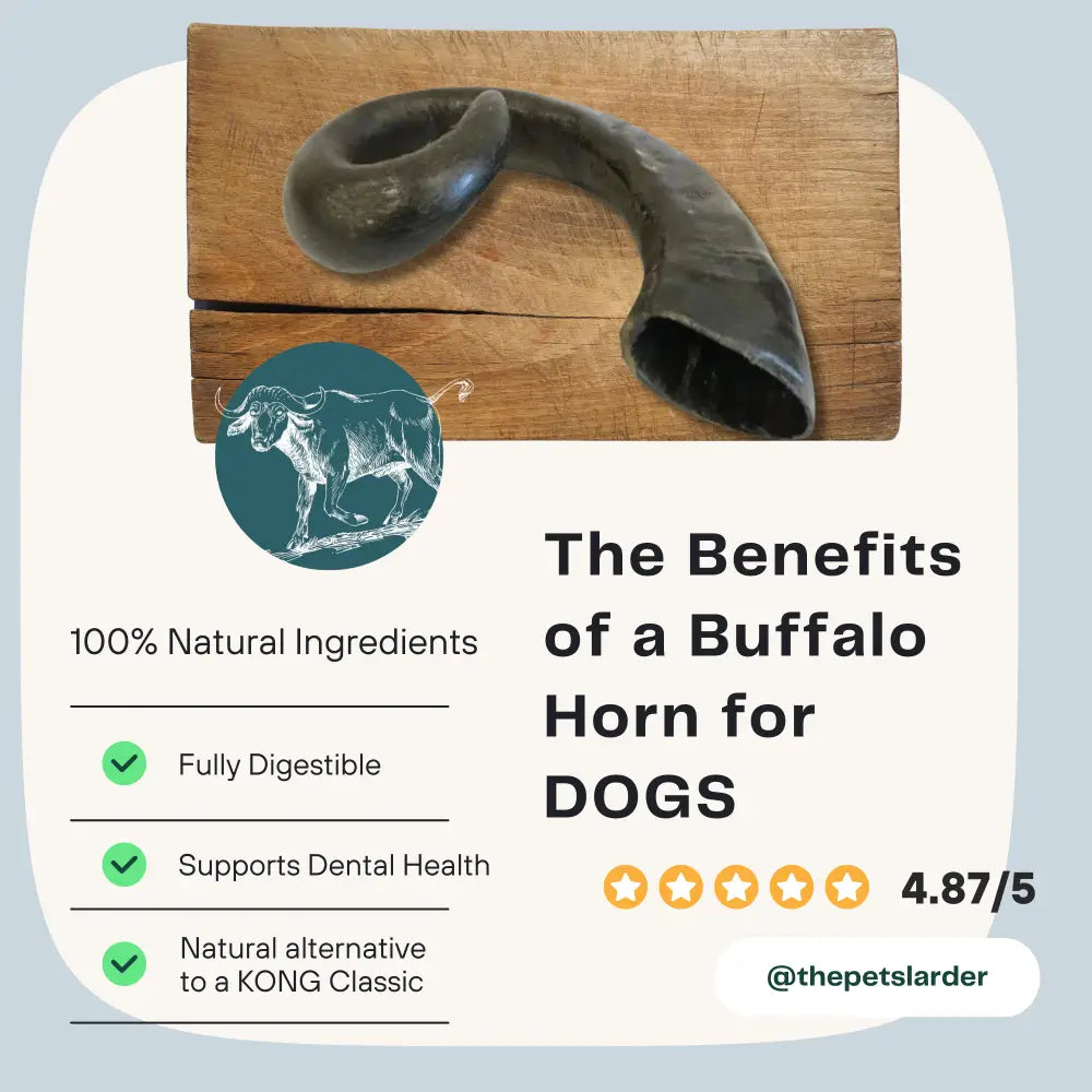 Natural buffalo horn chew toy for dogs with green benefits checkmark