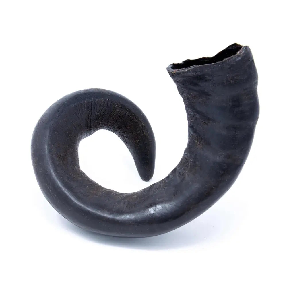 Buffalo Horn natural dog chew with black spiral rubber gasket seal