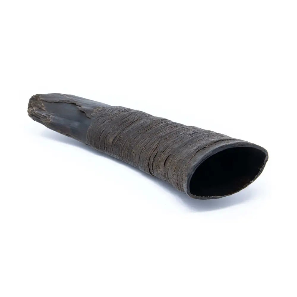 Dark brown textured buffalo horn natural dog chew with hollow interior