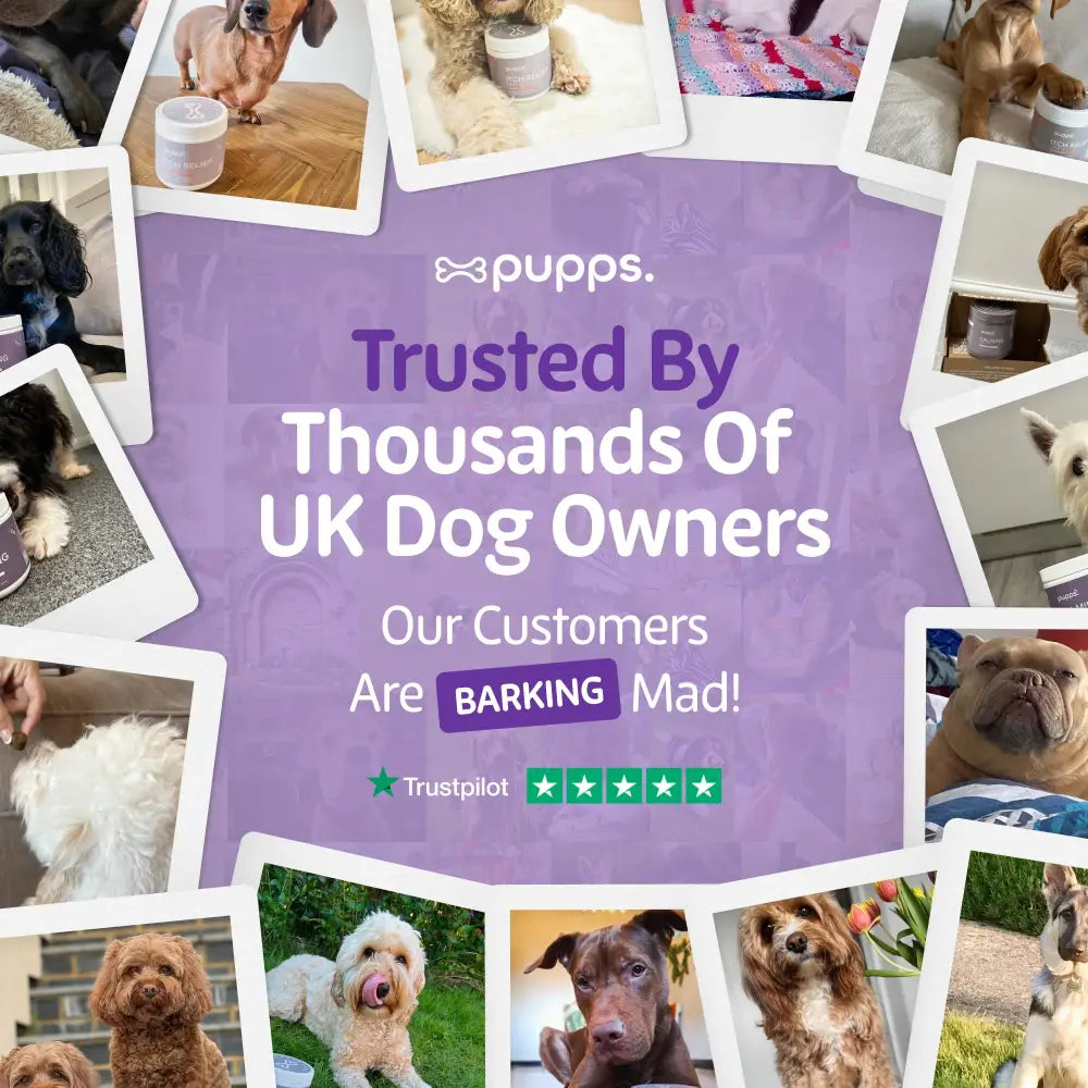 Purple Pupps Dog Food Container with Star Ratings and Testimonials for Calming Treats