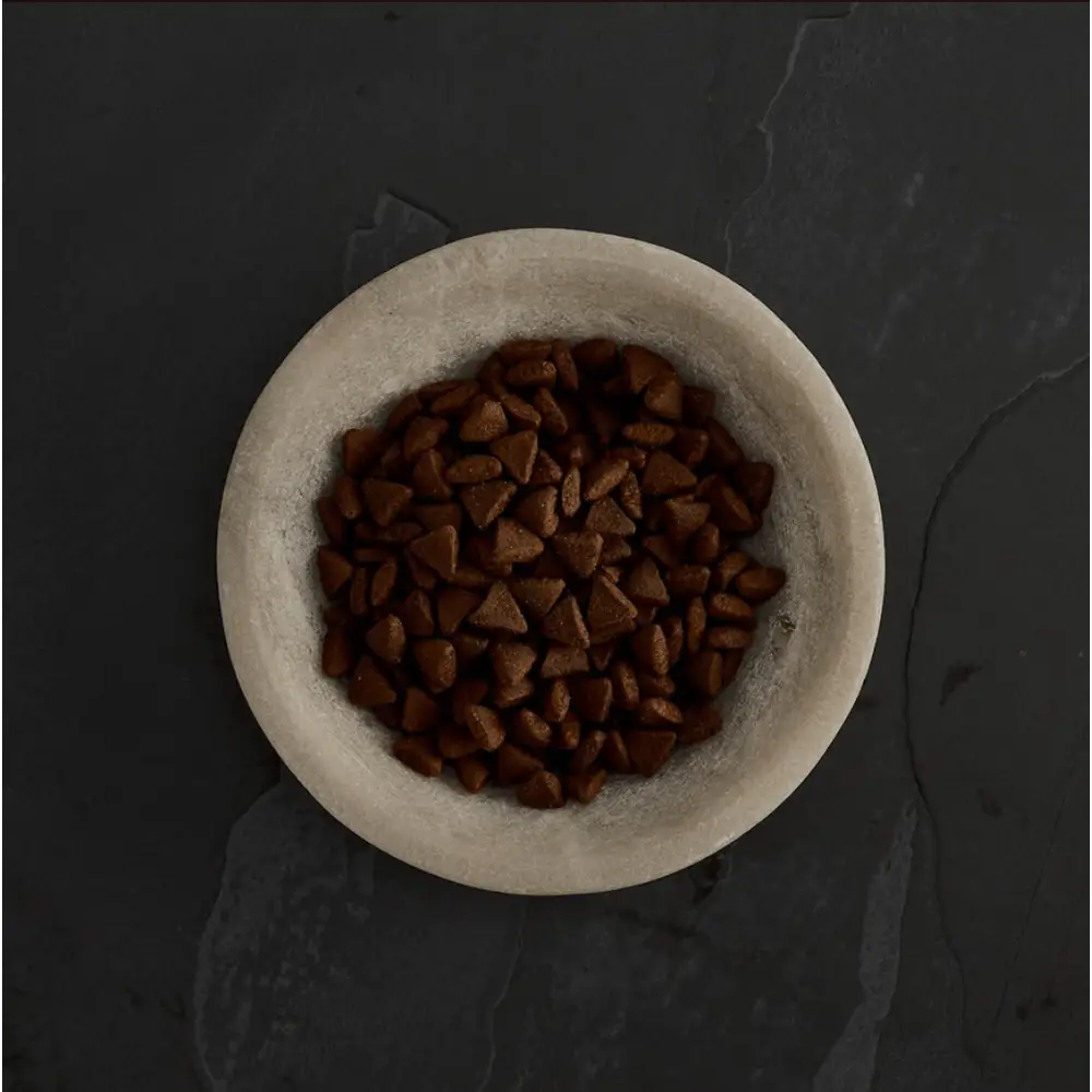 Brown triangular chocolate chips in white bowl from Canagan grain free cat food
