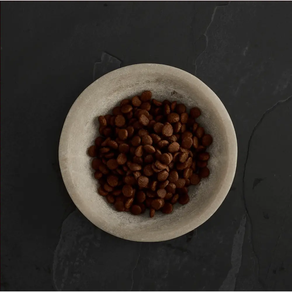 Grain-free Canagan Free-Range Chicken cat food in brown lentil bowl