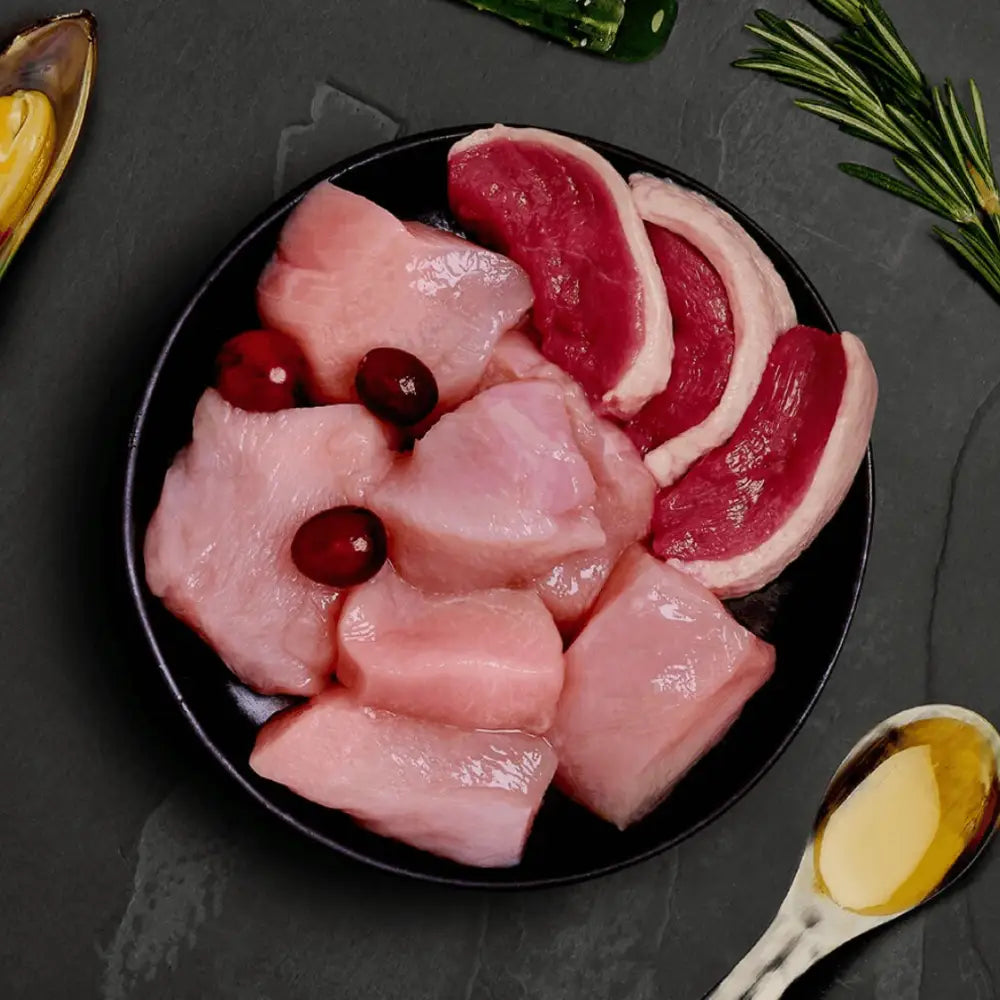 Canagan wet cat food pouch with raw chicken, duck and nutritious cranberries on black plate