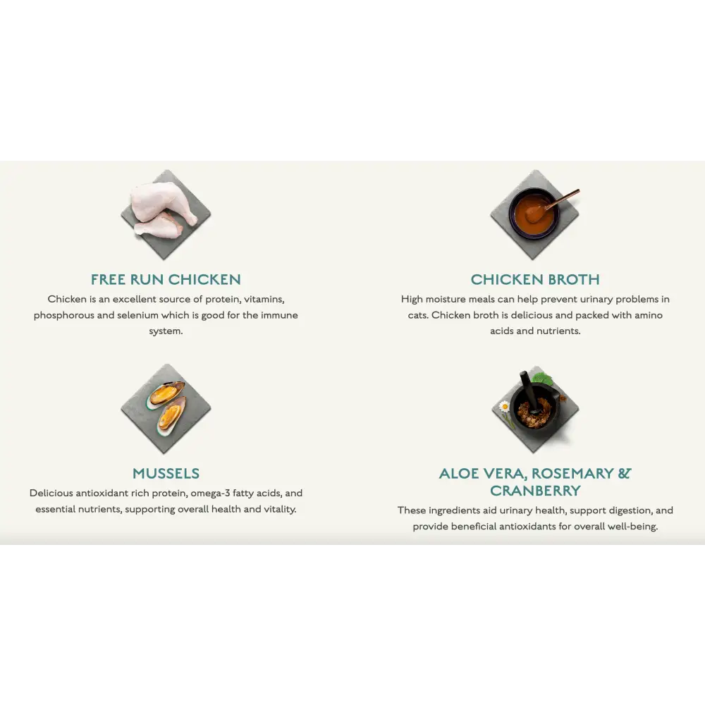 Canagan wet cat food pouch for kittens with free run chicken and green lipped