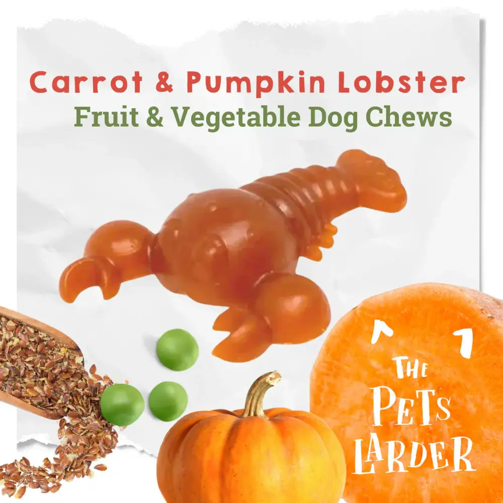 Orange rubber lobster chew toy with pumpkin seeds, peas for dog’s health nutrients