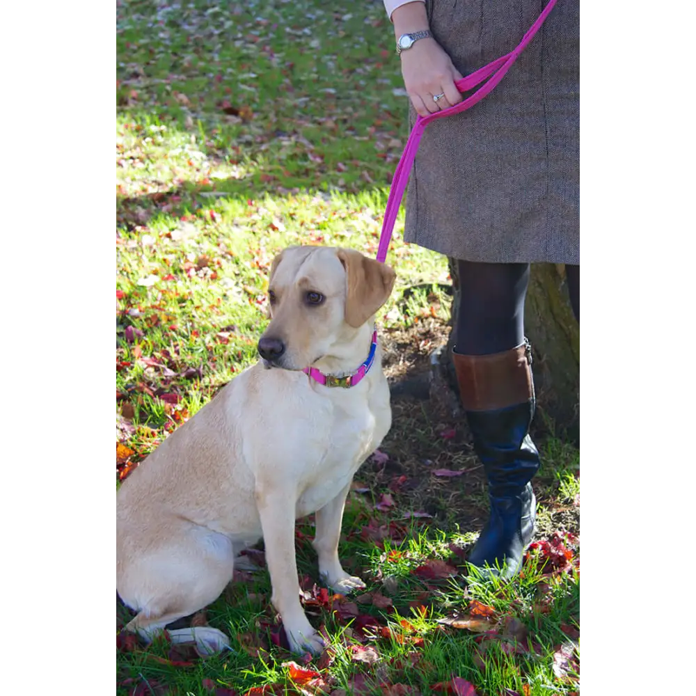 Cornish Grippy Lead - 5 Loop Mountain Brown Dog Lead Dog Accessories Grippy Leads