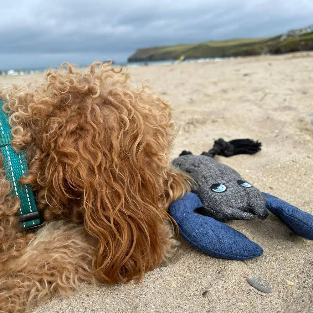 Blue Eco Lobster Dog Toy: Plush Sheep with Gray Eyes from Recycled Fabrics