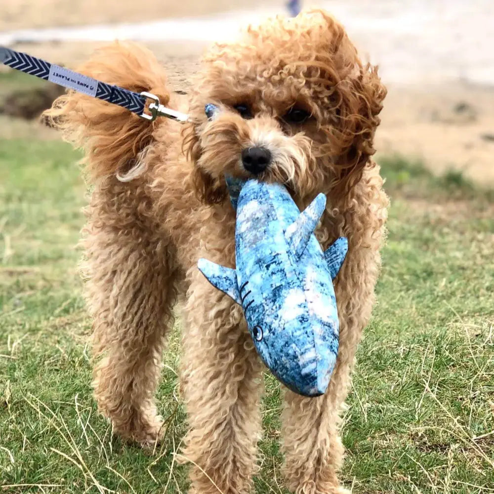 Eco-conscious blue shark dog toy made from recycled materials including plastic bottles