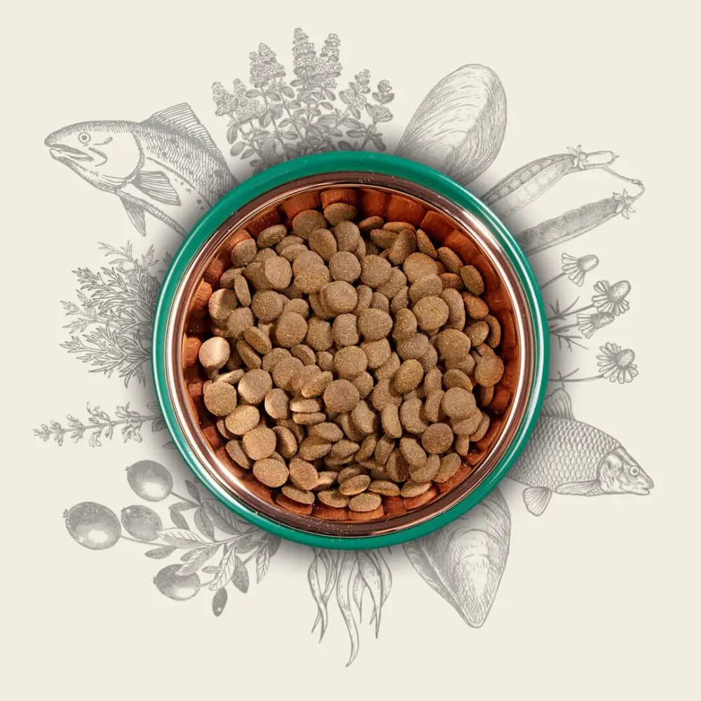 Eden 80/20 Fish Cuisine green bowl with brown kibble, fish, plants, mussel, oil, elements