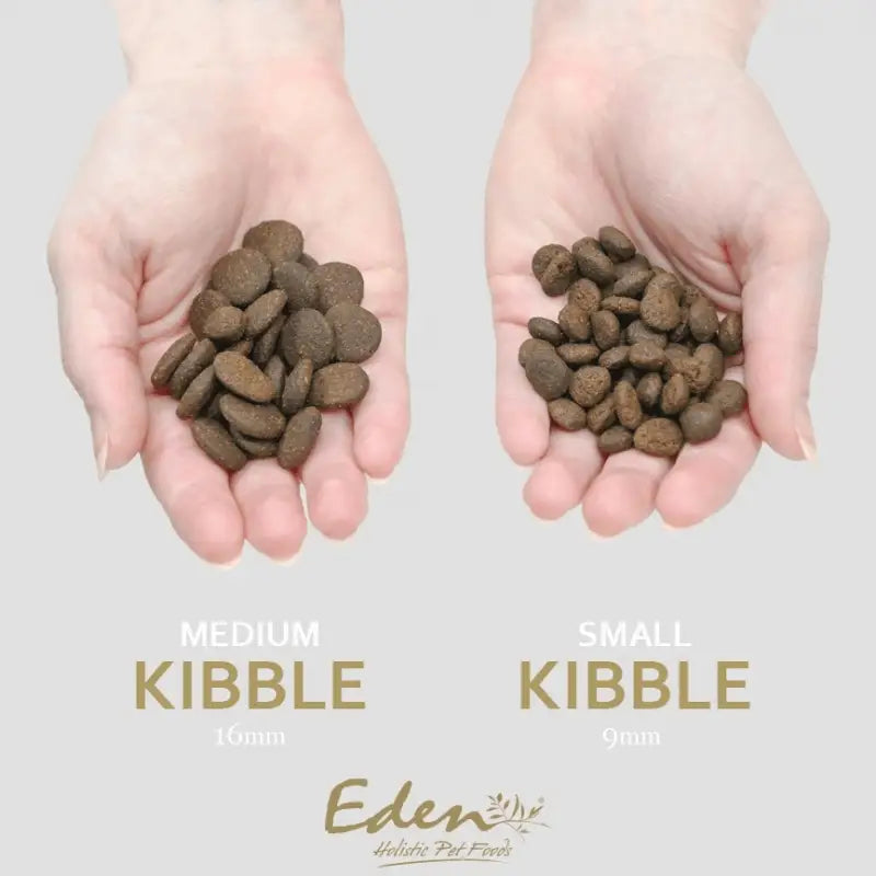 Eden 80/20 Original Cuisine kibble in small and medium sizes with white potato